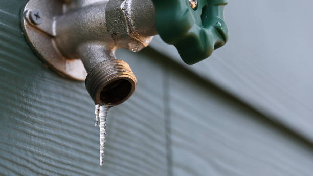 Best Emergency Plumber  in Troy, TN