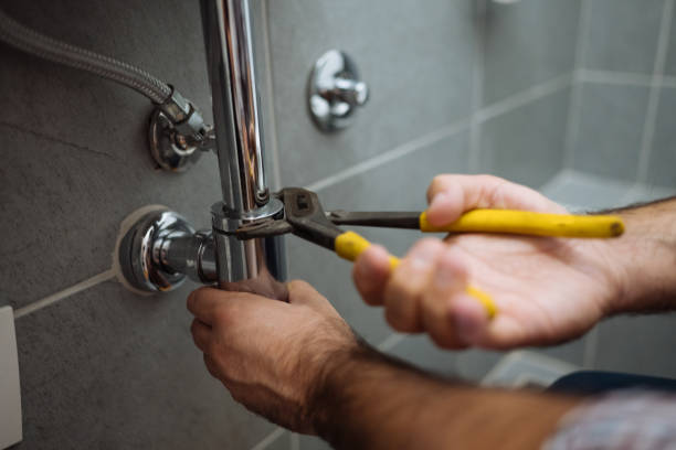 Best Local Plumber Services  in Troy, TN